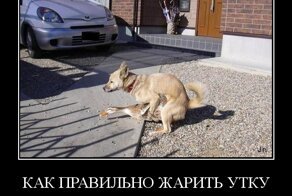 Как правильно жарить утку