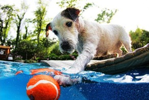 Фото прикол