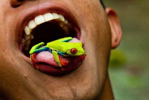 Фотоподборка