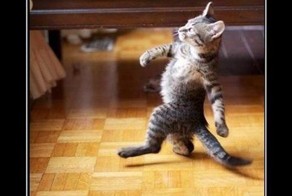 Смешной демотиватор от zubrilov за 22.02.2012 №104028