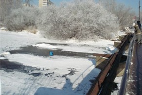 Жестокость людей (8 фото)