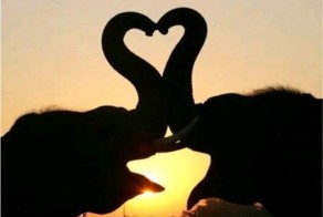 Улетное фото