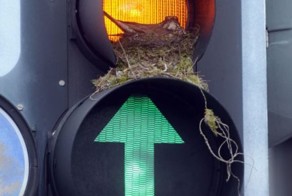 Фотоприкол недели