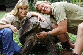 Факты из жизни Стива Ирвина (9 фото + 2 видео)