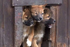 Фотоподборка