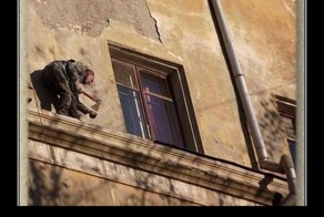 Смешной демотиватор от zubrilov за 02.03.2012 №105089