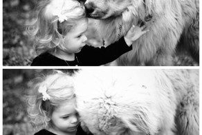 Фотоприкол онлайн бесплатно