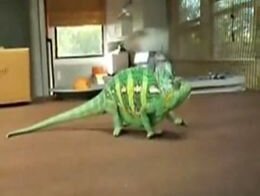 Подборка роликов от 23.01.2012