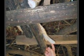 Смешной демотиватор от zubrilov за 07.03.2012 №105510