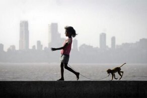 Фотоприкол онлайн бесплатно