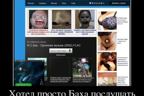 Смешной демотиватор от zubrilov за 11.03.2012 №105760