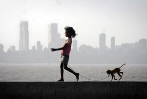 Шикарное фото