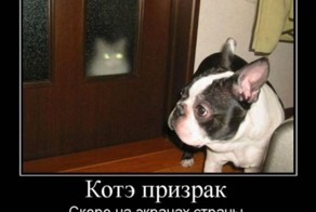 Смешной демотиватор от zubrilov за 14.03.2012 №106140