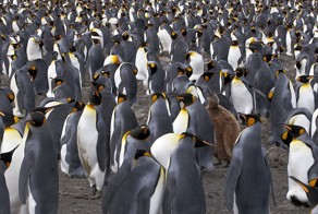 Улетное фото