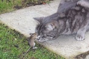 Юмор прикол