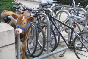 Прекрасные фото