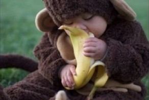 Смешная фотогалерея