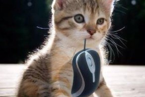 Улетное фото