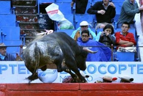 Прекрасные фото