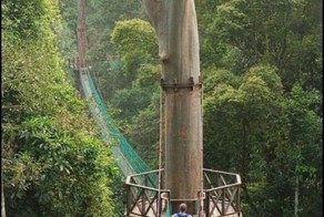 Новый фотоприкол