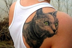 Прикольные фото