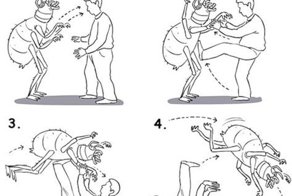 Смешные картинки