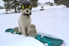 Фотоприкол фото