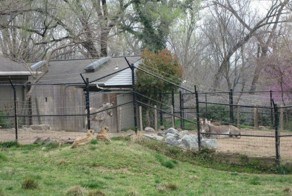 Фотоприкол бесплатно