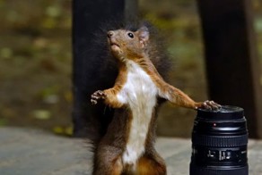 Фотоприкол