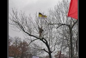 Смешной демотиватор от zubrilov за 28.03.2012 №107580