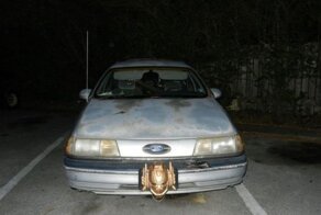 Шикарное фото