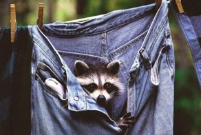 Бесплатный фотоприкол