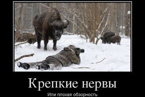 Смешной демотиватор от zubrilov за 30.03.2012 №108009