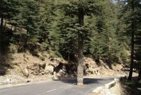 Бугагашеньки