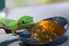 Прикол картинка