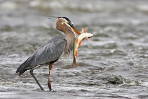 Зачетное фото