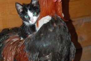 Фотоподборка