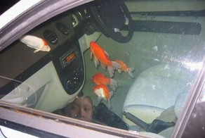 Фотоприкол бесплатно