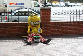 Прекрасные фото