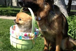 Прикольные фото