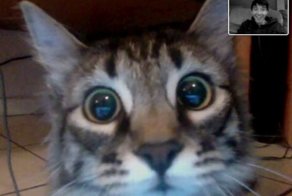 Прекрасные фото