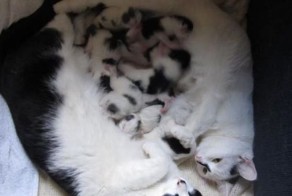 Прекрасные фото