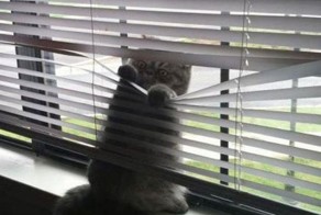 Фотоподборка