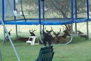 Фотоприкол дня