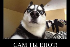 Смешной демотиватор от zubrilov за 13.04.2012 №109467
