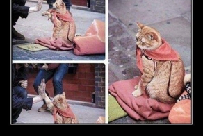 Смешной демотиватор от zubrilov за 13.04.2012 №109477