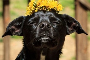 Улетное фото