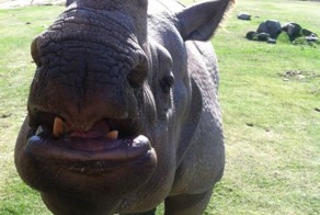 Фото прикол