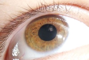 Фотоприкол дня