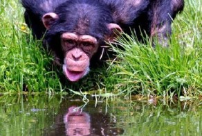 Прекрасные фото